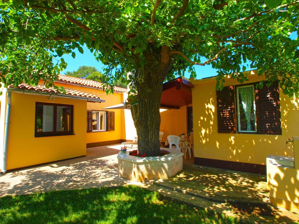 House 1037 Villa Fažana Eksteriør bilde